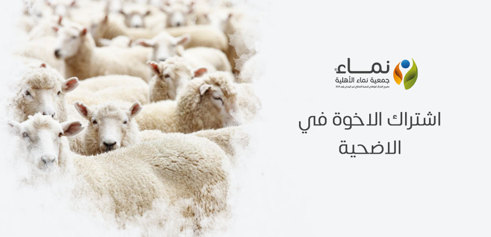 هل يجوز شرعًا اشتراك الاخوة في الاضحية ؟ الإجابة التفصيلية