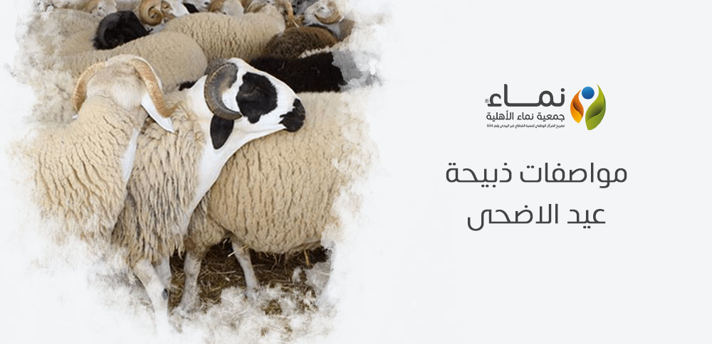 مواصفات ذبيحة عيد الاضحى | ما الذي يجب أن تعرفه قبل الشراء؟