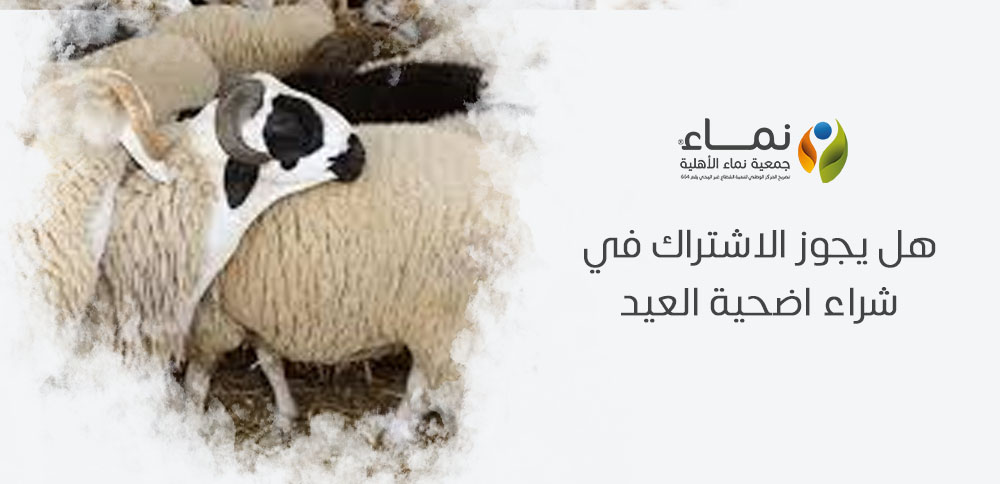 هل يجوز الاشتراك في شراء اضحية العيد ؟ تعرف على الإجابة الشرعية