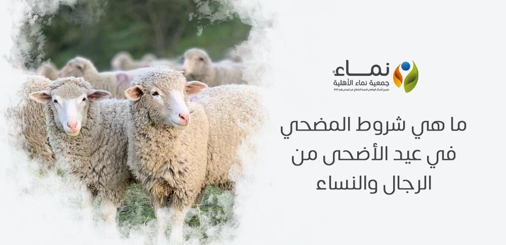 ما هي شروط المضحي في عيد الأضحى من الرجال والنساء ؟ تعرف على الأحكام الشرعية