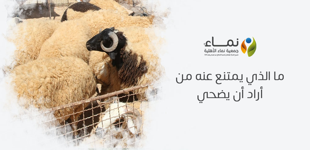 ما الذي يمتنع عنه من أراد أن يضحي ؟ تعرف على الشروط الشرعية للمضحي