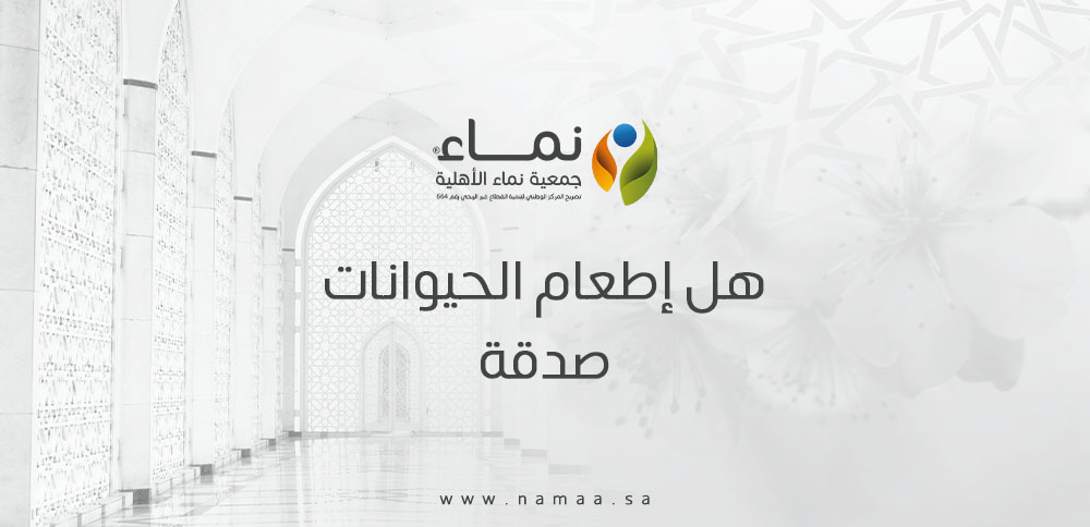 هل إطعام الحيوانات صدقة أم إحسان تطوعي؟