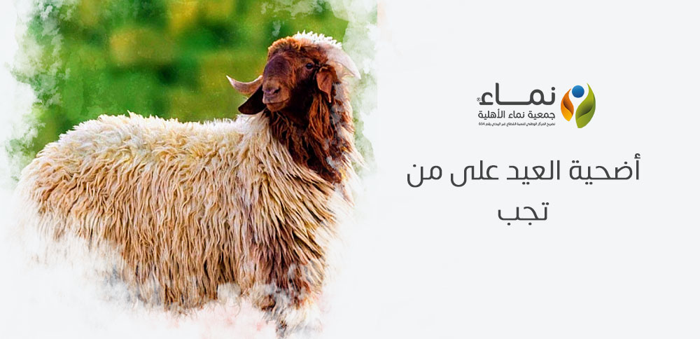أضحية العيد على من تجب ؟ شروط وأحكام مهمة