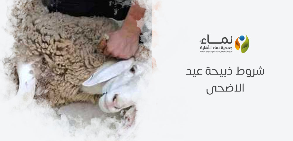 شروط ذبيحة عيد الاضحى | ما هي المعايير الصحيحة لاختيار الأضحية؟