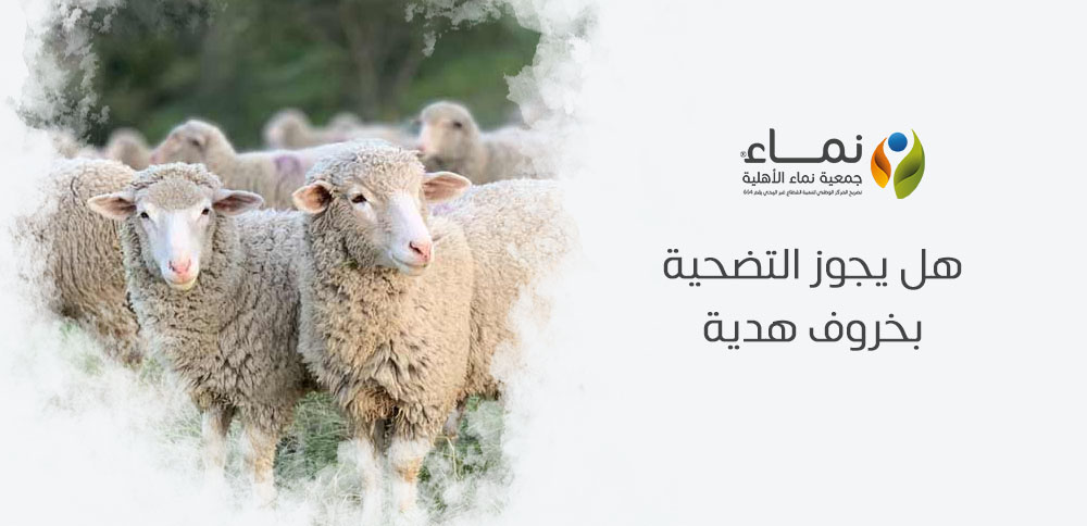 هل يجوز التضحية بخروف هدية ؟ وهل تتوافق مع أحكام الشريعة؟