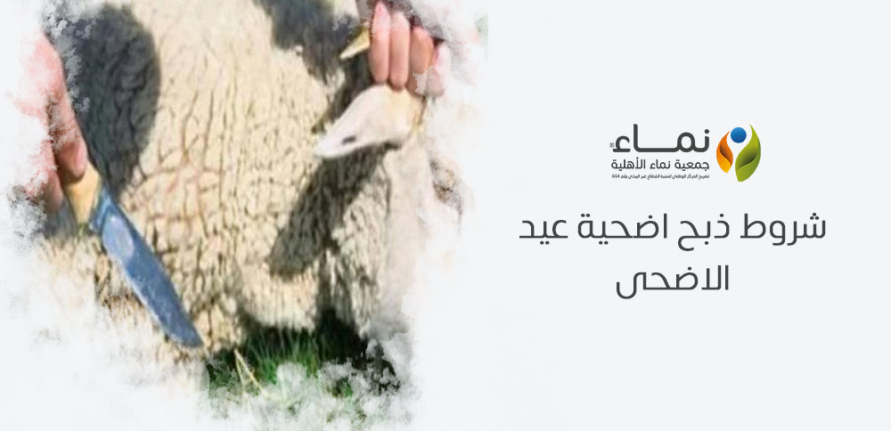شروط ذبح اضحية عيد الاضحى | تعرف على الأحكام الشرعية الواجب اتباعها