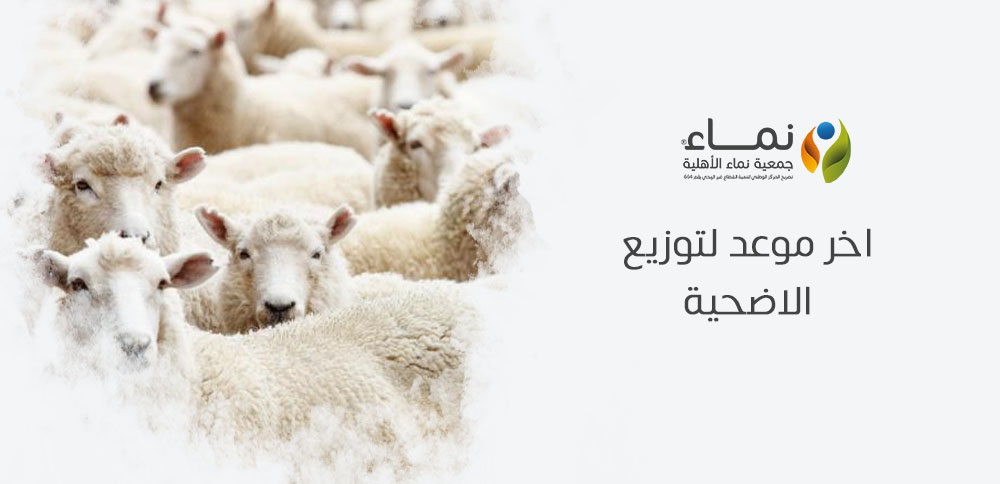 اخر موعد لتوزيع الاضحية في عيد الأضحى 2025