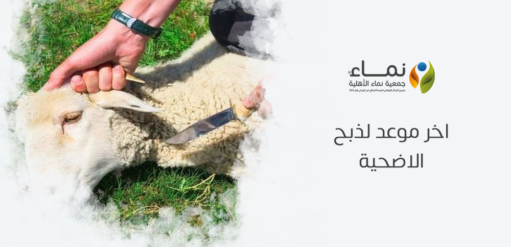 ما هو اخر موعد لذبح الاضحية لعييد الأضحى 2025؟